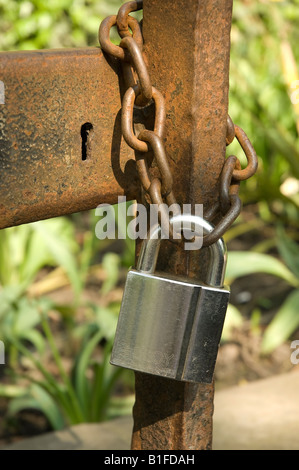 Lucchetto e catena sul cancello in ferro arrugginito primo piano Foto Stock