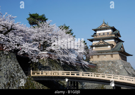Il castello di Takashima un ponte e un albero ciliegio Foto Stock
