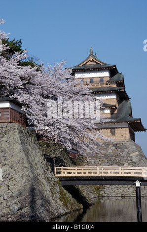 Il castello di Takashima un ponte e un albero ciliegio Foto Stock