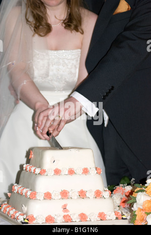 Sposa e lo sposo il taglio di una torta di nozze Foto Stock