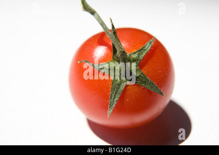 Unico Red Cherry Pomodoro verde con cicogna bianca su sfondo per studio Foto Stock