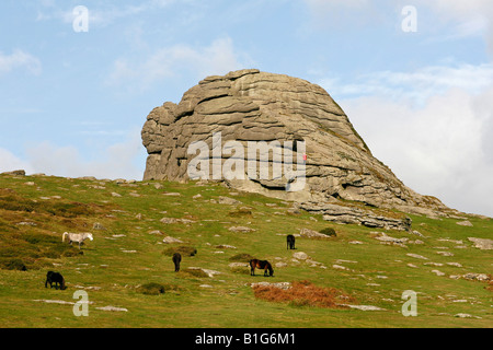 Haytor Dartmoor Devon England Regno Unito Foto Stock