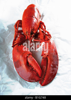 Tutto a base di aragosta cotta sulla carta zigrinato Foto Stock