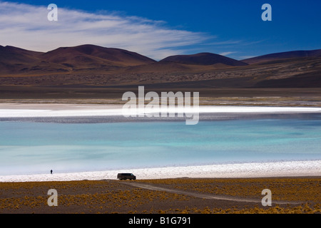 Laguna Tuyejto Saline nel deserto di Atacama nel Cile settentrionale Foto Stock