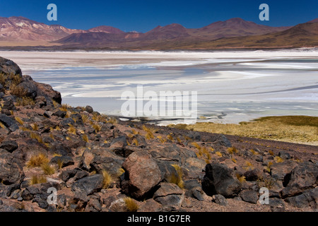 Alori Calientes Saline alta nel deserto di Atacama nel Cile settentrionale Foto Stock