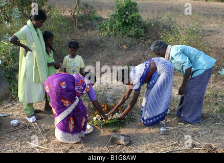 Famiglia di agricoltori nelle zone rurali del Tamil Nadu eseguire Pongal pooja in un campo per ringraziare Dio del sole Surya per il raccolto , India Foto Stock