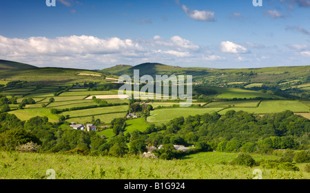 Estate scene nel Dartmoor Campagna Parco Nazionale di Dartmoor Devon England Foto Stock