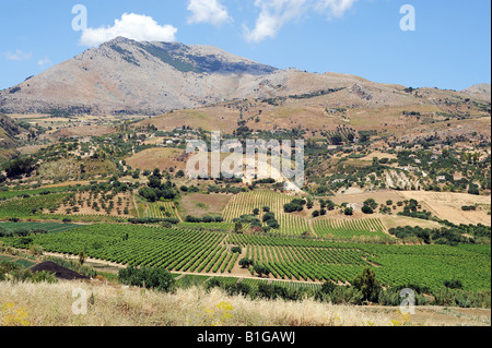 Vista panoramica della campagna attorno a Castellammare del Golfo in nord occidentale della Sicilia Foto Stock