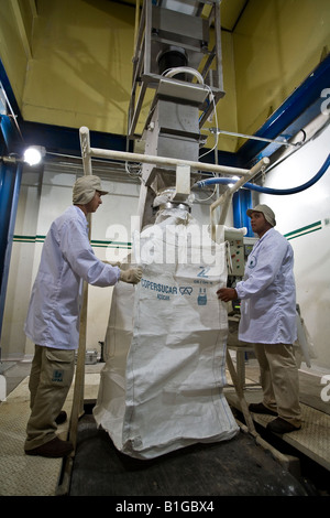 Sao Francisco etanolo e zucchero Zucchero vegetale processo produttivo un carico di sacchi di zucchero per le esportazioni dal Brasile Foto Stock