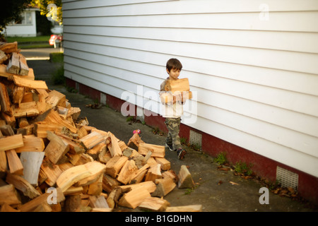 6 anno vecchio ragazzo porta log in dal woodpile Foto Stock