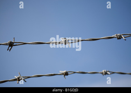 Filo spinato su un cielo blu Foto Stock