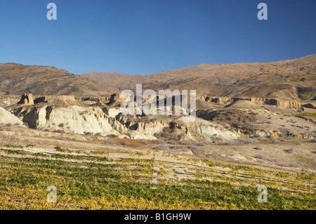 Mt difficoltà vigneto in autunno e la storica Gold Sluicings Bannockburn Central Otago Isola del Sud della Nuova Zelanda Foto Stock