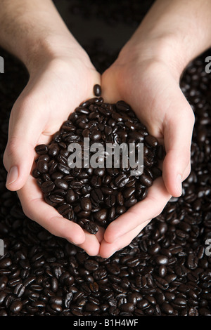 Persona in possesso di chicchi di caffè Foto Stock