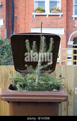 Albero di natale nel bidone con ruote Foto Stock