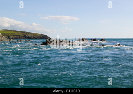 Guardando verso Ramsey Suono da barca Ramsey isola St Davids Pembrokeshire Wales Foto Stock