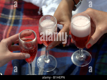 Rosa champagne e fragole per un picnic al Devonshire Park Eastbourne Regno Unito Foto Stock