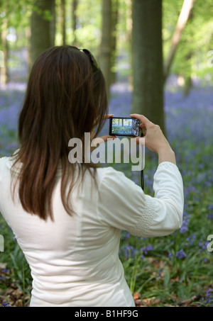 Giovane donna di scattare una foto delle Bluebells Foto Stock