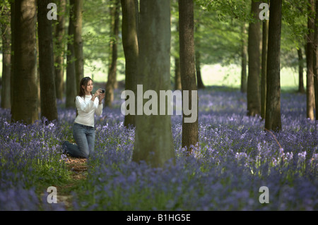 Giovane donna prendendo fotografia di Bluebells Foto Stock