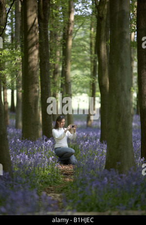 Giovane donna prendendo fotografia di Bluebells Foto Stock