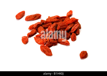 Bacche di Goji Foto Stock