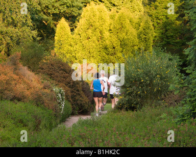 Guide di scorrimento in Isabella Plantation. Richmond Park. Richmond. Londra. Regno Unito Foto Stock