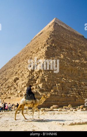 Un cammello con il Khafre Piramide di Giza nel deserto vicino al Cairo in Egitto Foto Stock