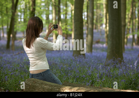 Giovane donna di scattare una foto delle Bluebells Foto Stock