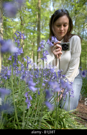 Giovane donna prendendo fotografia di Bluebells Foto Stock