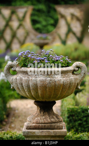 Un antico urna di pietra in un giardino murato con casella di Nana di copertura e un edera addestrato in un reticolo DESIGN UK Foto Stock
