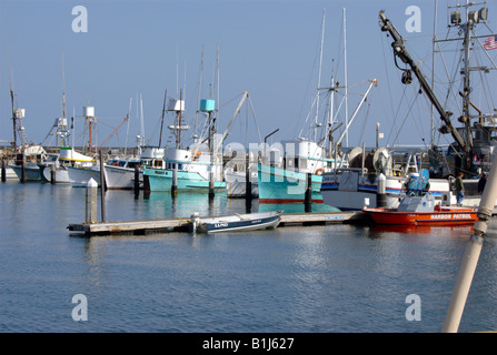 La flotta di pesca, Santa Barbara Porto, CALIFORNIA, STATI UNITI D'AMERICA Foto Stock