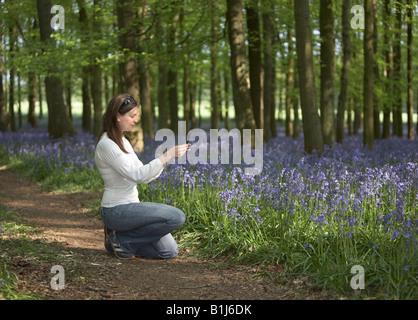 Giovane donna di scattare una foto delle Bluebells sul telefono cellulare Foto Stock