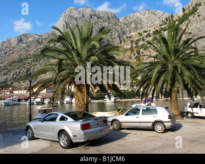 Parcheggio auto, palme e barche nel porto di Cattaro, Serbia e Montenegro Foto Stock