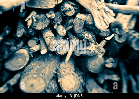 I toni seppia close up di una pila di driftwood impilati per la masterizzazione USA Foto Stock