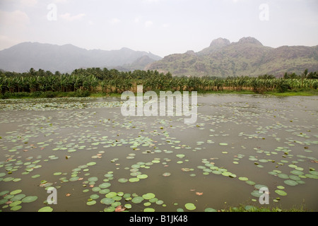 Un lago dal lato della strada nazionale 47 vicino a Kanyakamari in Tamil Nadu. Palme prosperare sotto le montagne distanti. Foto Stock