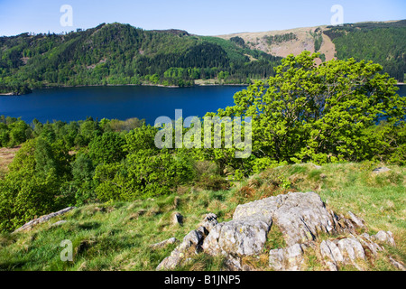 Thirlmere nel maggio agli inizi della primavera del colore su alberi e foresta intorno al lago, il 'Lake District' Cumbria Inghilterra England Regno Unito Foto Stock