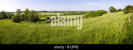 Sera luce del sole sulla valle del fiume Windrush vicino al villaggio di Cotswold di Taynton, Oxfordshire UK Foto Stock