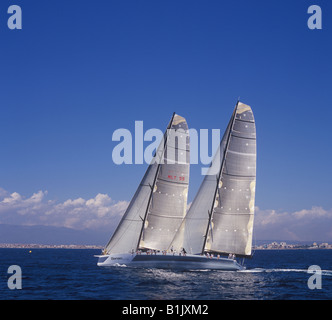 Superyacht Cup Palma 2008 Ulysse Nardin Cup regata nella baia di Palma de Mallorca - superyacht a vela di Senso uno Foto Stock