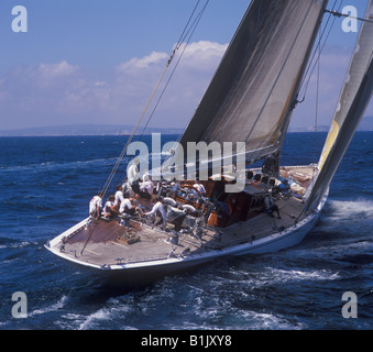 Superyacht Cup Palma 2008 Ulysse Nardin Cup regata nella baia di Palma de Mallorca - superyacht a vela Ranger Foto Stock