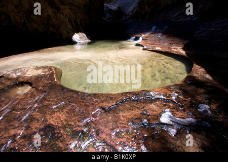 Una piscina di acqua all'interno della stazione della metropolitana formazione nel Parco Nazionale di Zion, Utah. Foto Stock