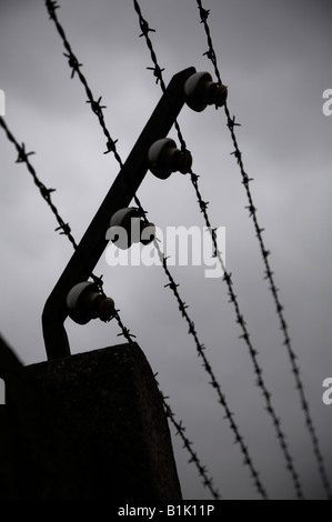 Dettaglio di elettrificata di filo spinato nel perimetro della seconda guerra mondiale campo di concentramento di Dachau vicino a Monaco di Baviera in Germania Foto Stock