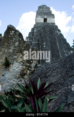 Tempio 4, che si trova sulla piazza principale di rovine Maya al Parco Nazionale di Tikal in Guatemala. Foto Stock