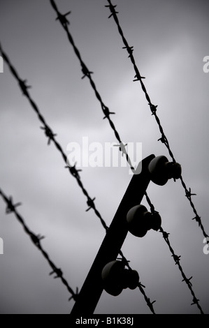 Dettaglio di elettrificata di filo spinato nel perimetro della seconda guerra mondiale campo di concentramento di Dachau vicino a Monaco di Baviera in Germania Foto Stock