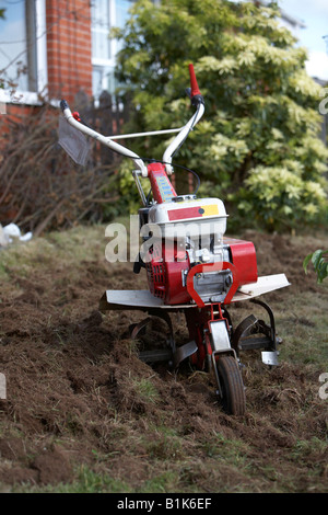 Ingaggiato benzina rotavator giardino essendo utilizzato per il tasso di abbandono fino terreno in un giardino newtownabbey Irlanda del Nord Foto Stock