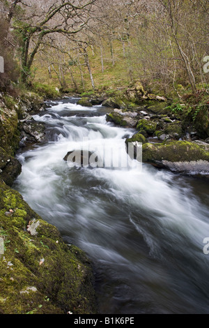 Oriente Lyn fiume vicino Watersmeet in Devon Foto Stock