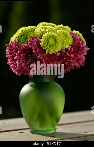 Fiori di crisantemi in vaso su un tavolo sfondo sfocato sfocato sfocato sfondo isolato ritagliato nessuno verticale negli Stati Uniti ad alta risoluzione Foto Stock