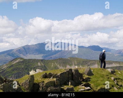 Uomo che cammina sulla cima della montagna Moelwyn Mawr nel Parco Nazionale di Snowdonia in estate. Snowdonia Galles del Nord Gran Bretagna Foto Stock