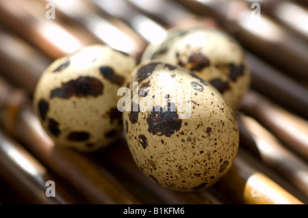Tre uova di quaglia su un vassoio di bambù Foto Stock
