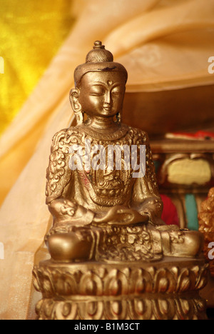 Gautama Buddha (Siddhattha Gotama o Shakyamuni Buudha) figura in una tradizionale sala di preghiera in Tibetan House Foto Stock