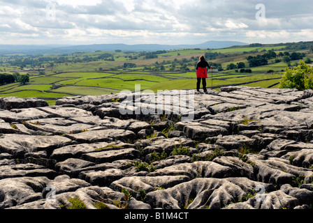 Il camminatore femmina sulla parte superiore di Malham Cove in estate Yorkshire England Regno Unito Foto Stock