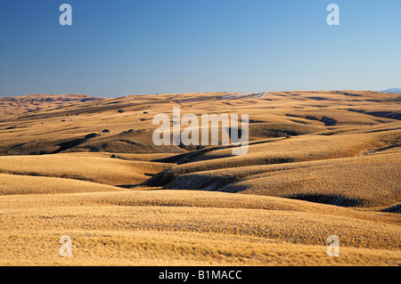 Gamma di Lammermoor vecchio sentiero Dunstan Central Otago Isola del Sud della Nuova Zelanda Foto Stock